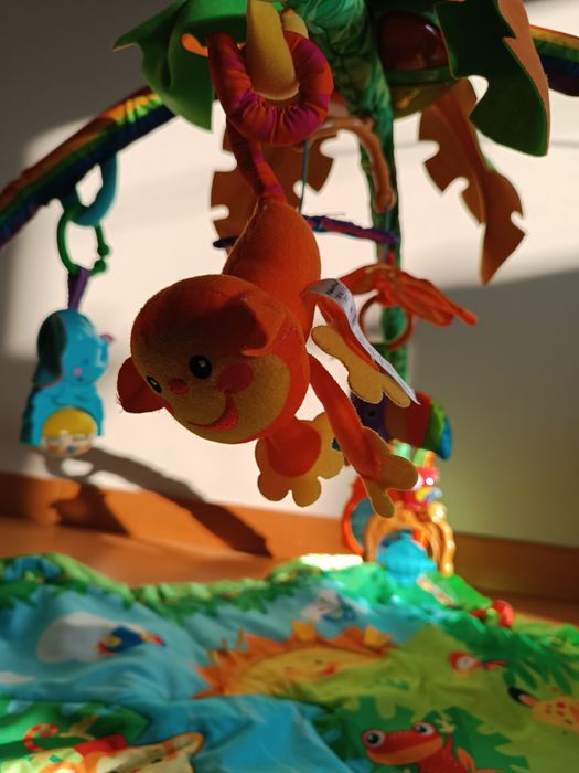 Ginásio/tapete de actividades musical da Fisher Price