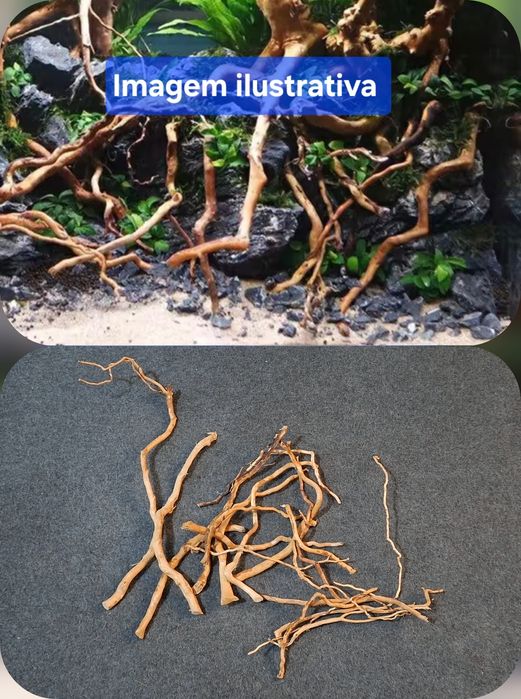 Tronco para aquário plantado - Novo 9 €