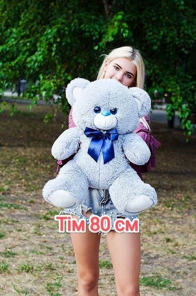 Великі іграшки Ведмідь плюшевий медведь м'яка іграшка Мишка плюшевий