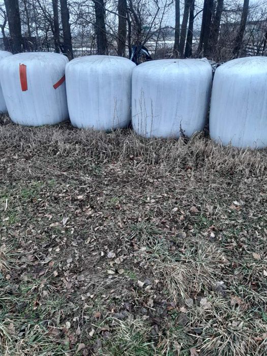 Sprzedam sianokiszonke