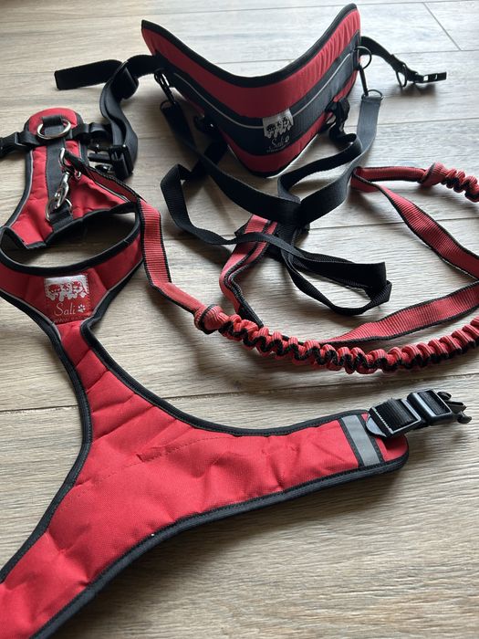 Szelki M, smycz, pas - Canicross komplet