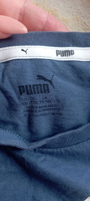 Koszulka Puma  męska