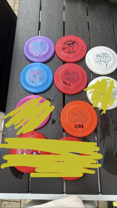 Frisbee dla malego psa