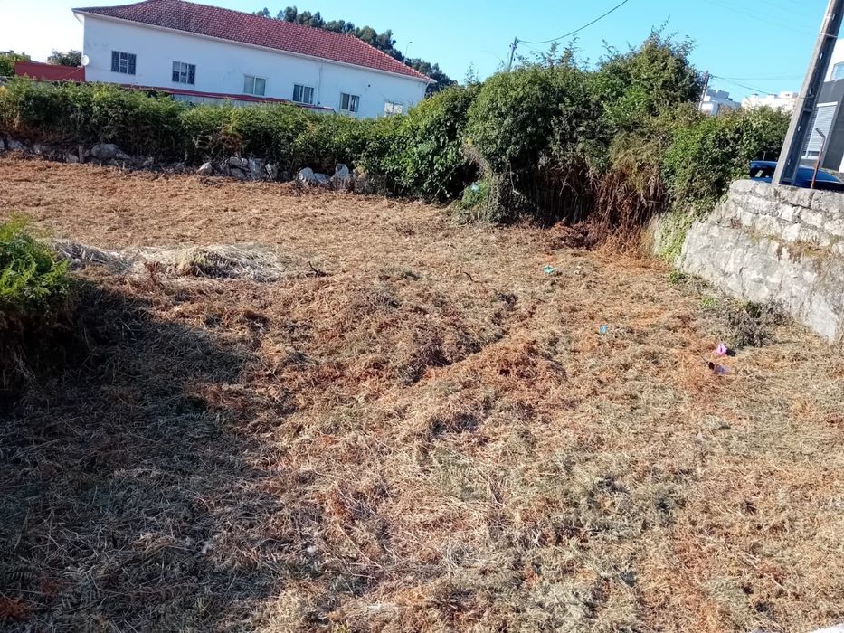 Limpeza de jardim