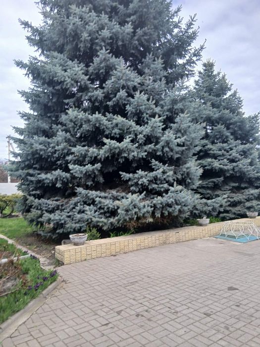 Комерційна нерухомість кафе"Мисливський дім"