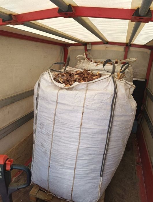 Świeża kora sosnowa