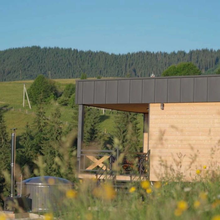 Будиночок у Карпатах