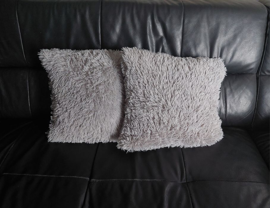 2 pillow covers