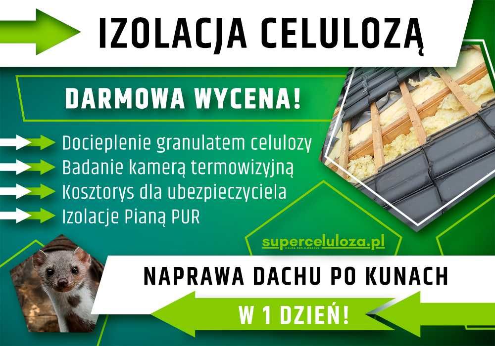 Naprawa dachu po kunie | Wdmuchiwanie celulozy | KUNY | UBEZPIECZENIE