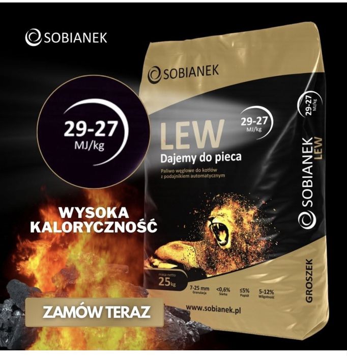 Lew sobianek groszek  5-25