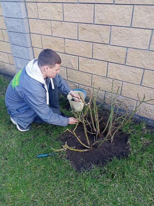 Уборка участка территории дома или дачи. Корчевание пней. Покос травы