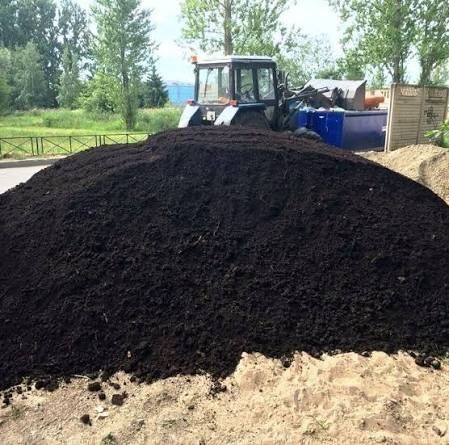 Навоз  гній перегній коров'як. Чорнозем луговий. Баришівка, район.