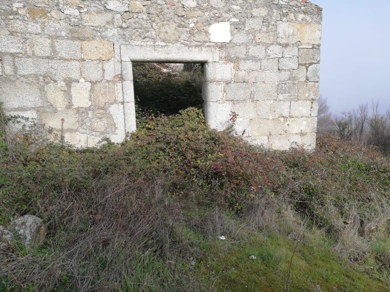 LLP-Limpeza de terrenos/ lavra terrenos/Prestação de serviços