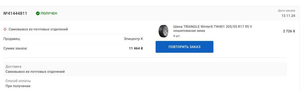 TRIANGLE WinterX TW401 205/55 R17 95 V