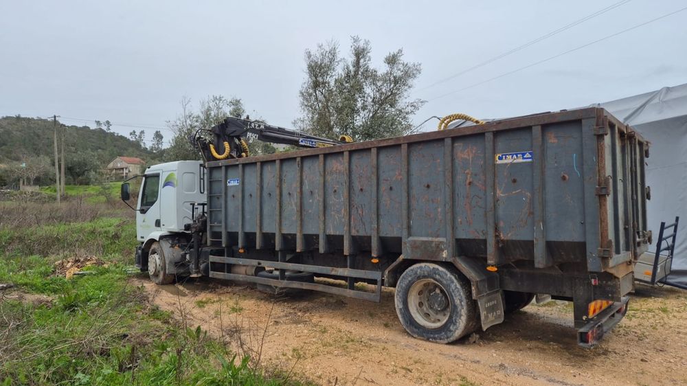 Aluga se camiao com grua