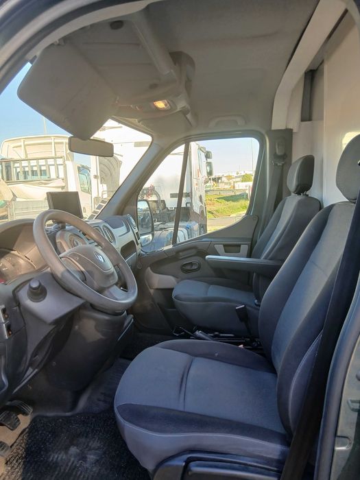 Renault Master transporte de cavalos