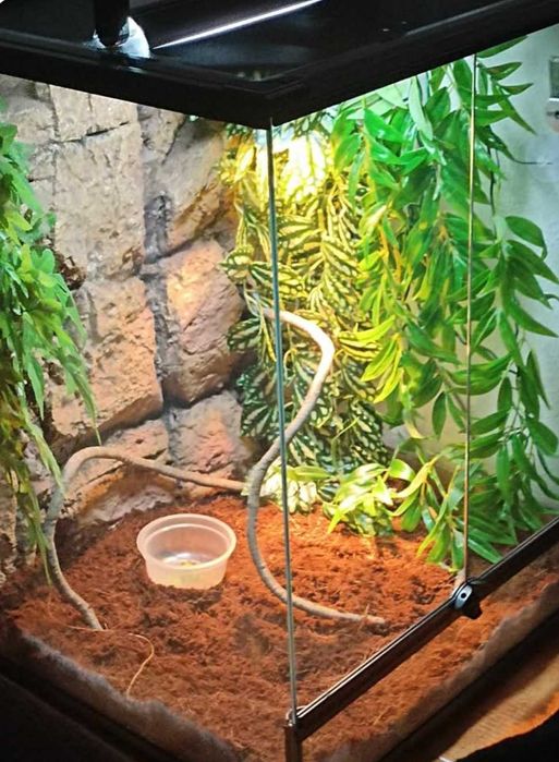 Terrário para répteis 45x45x60 cm