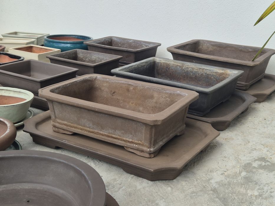 Vasos para bonsai