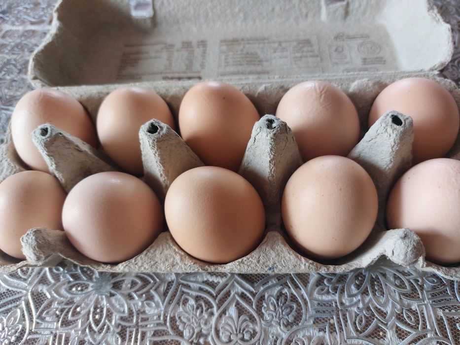 Jajka wiejskie/ swojskie
