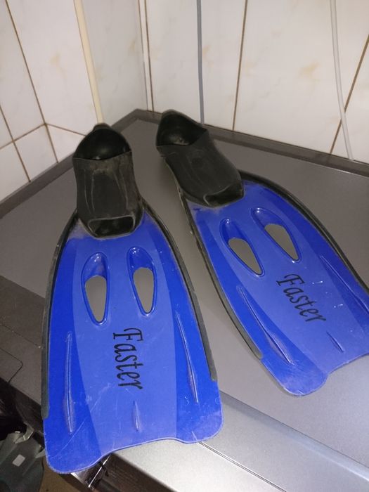 Płetwy