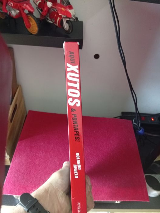 Livro Xutos & pontapés