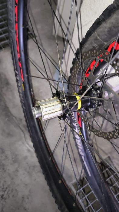 Rodas 29 Mavic Crossmax