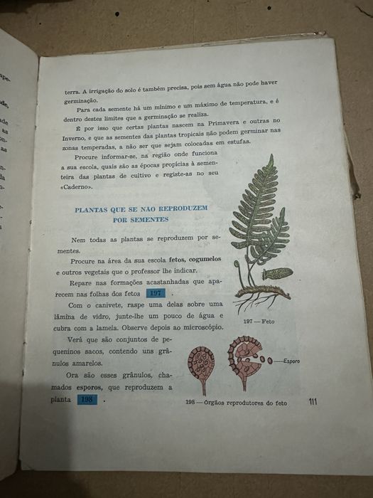 Livro antigo de ciências da natureza
