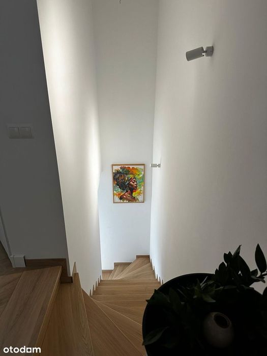 Zdjęcie 8