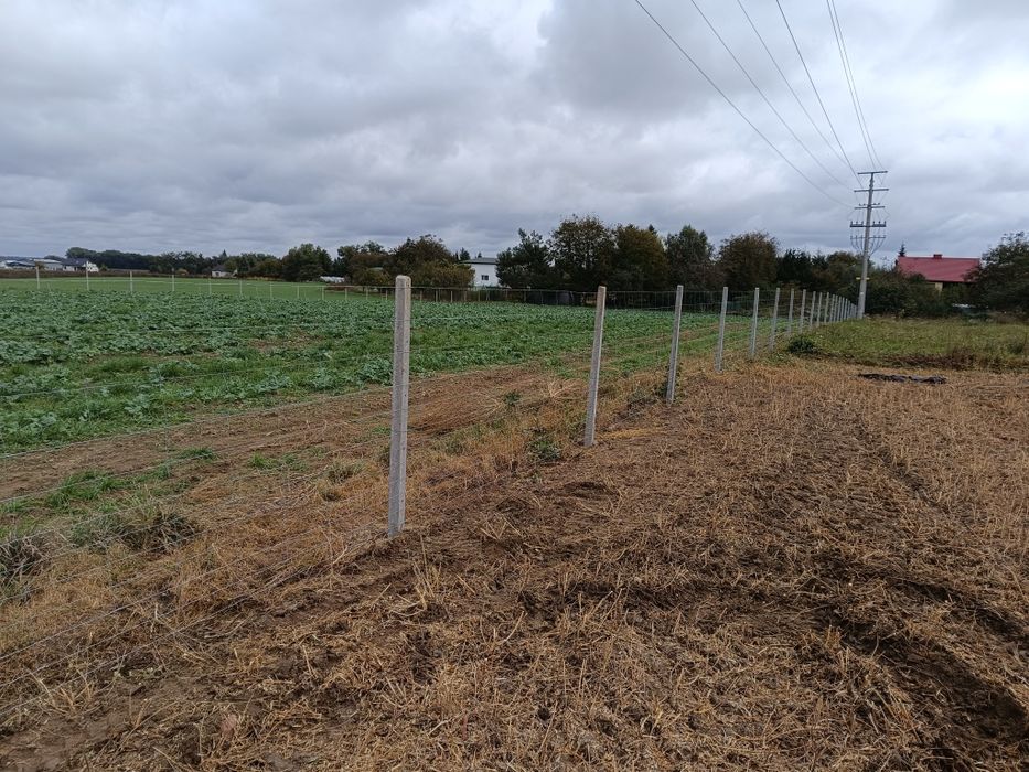 Ogrodzenie tymczasowe siatka leśna płot