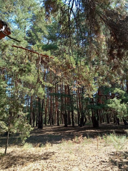 Продажа двухэтажного дома