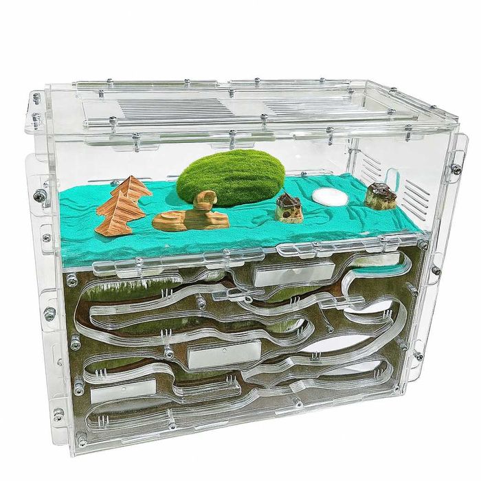 Duże, Szczelne Formikarium "Giant"​ do Hodowli Mrówek