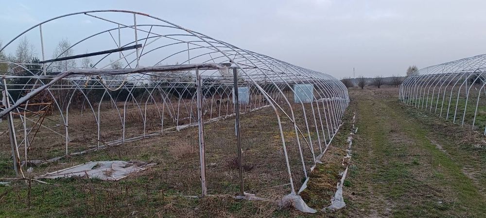 Tunele foliowe 7x30 m