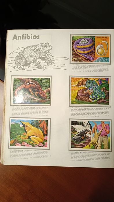 Cadernetas Panorama Zoológico completa