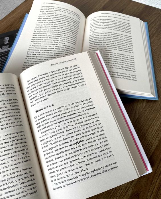 Стіни в моїй голові та інші книги Володимира Станчишина