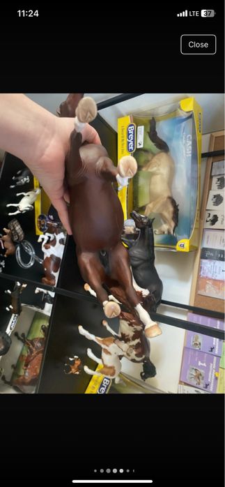 Breyer Custom Cinamoon