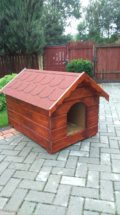 Buda dla średniego psa