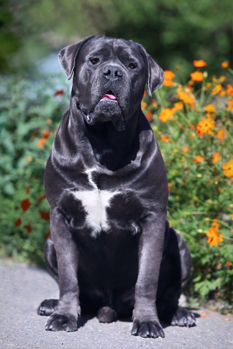 Голубий хлопчик_Нептун