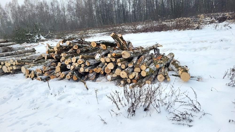 Drewno na opał - użytkowe sztachety palety