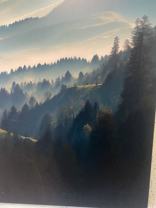 Продам картину еко - холст 120 см на 80 см преміум + лак