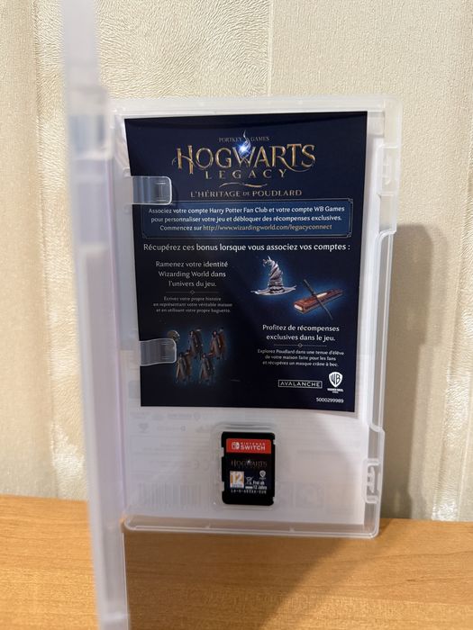 Nintendo Hogwarts Legacy