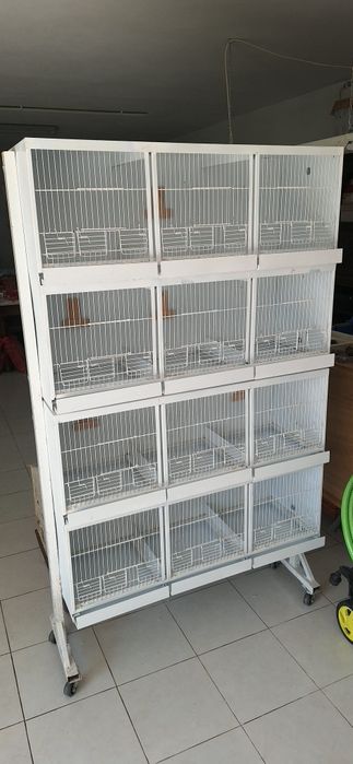 Lote Gaiolas criação- desistência