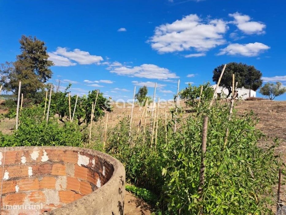 Monte no concelho de Serpa com 0,6 ha com infraestruturas no mesmo