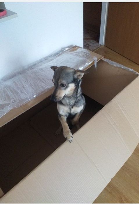 Oddam Kubę za darmo
