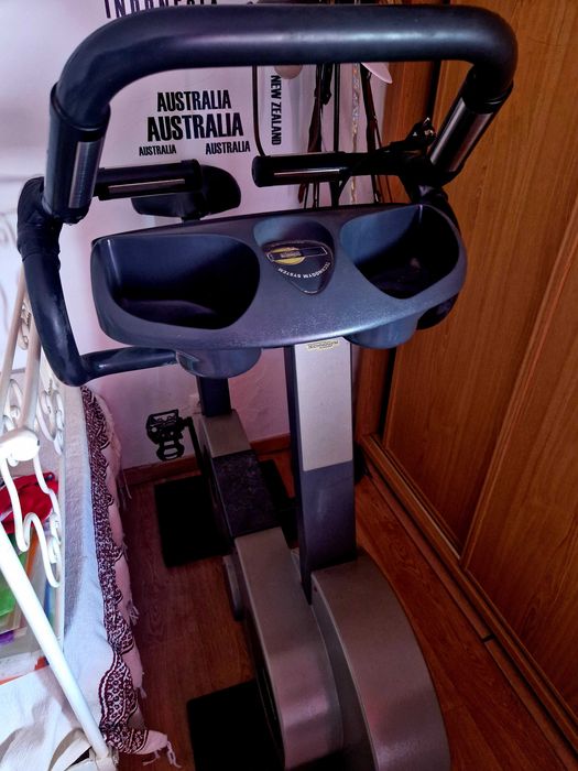 Bicicleta Estática Profissional Technogym (Linha Ginásio)