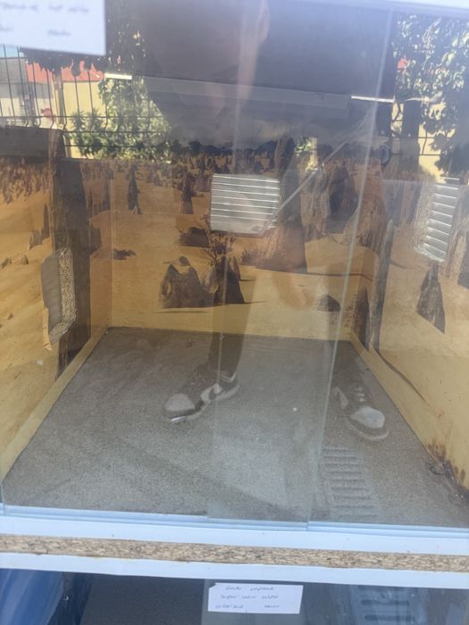 Terrarios para Repteis