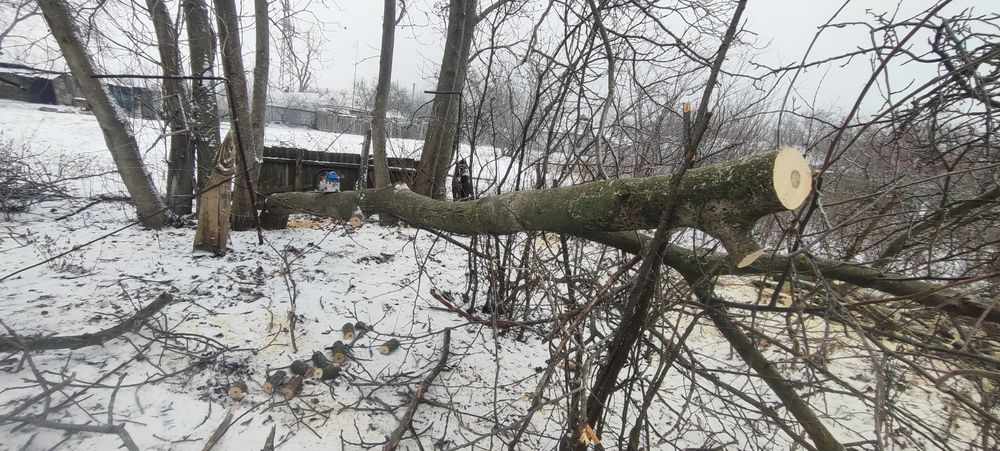 Продам горіх спиляний для досок