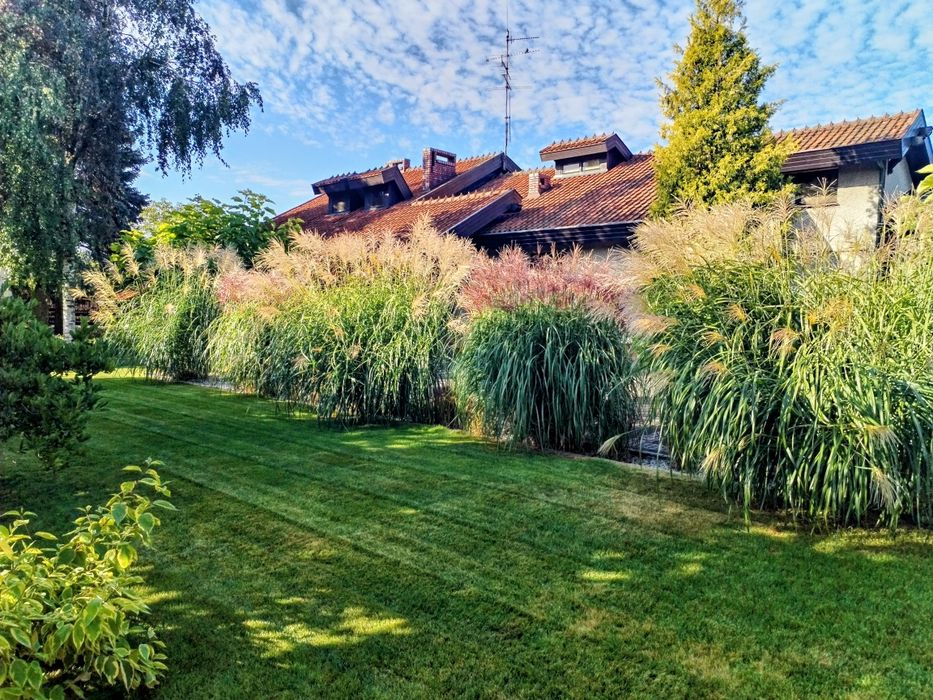 Opieka nad ogrodem, pielęgnacja zieleni