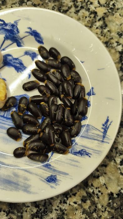 Sementes de graviola
