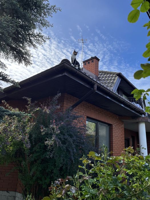 Dom w pieknej okolicy