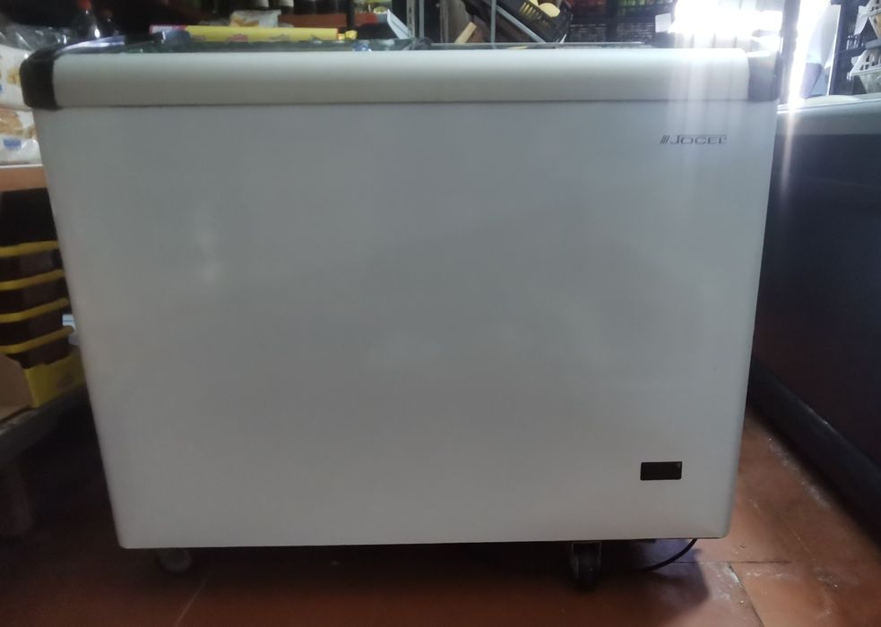 Arca congeladora jocel